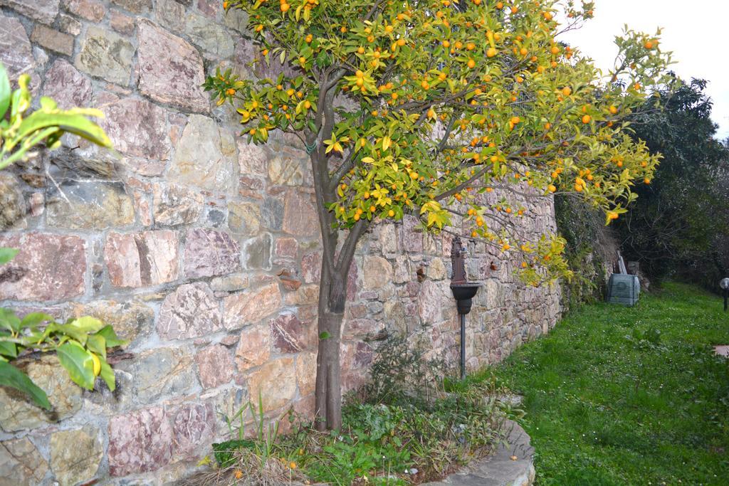 Casa Lia Apartman Arcola Kültér fotó